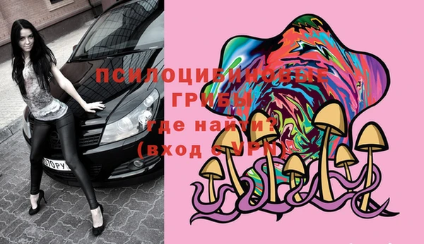стафф Володарск