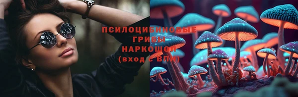 стафф Володарск