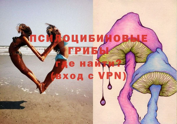 стафф Володарск
